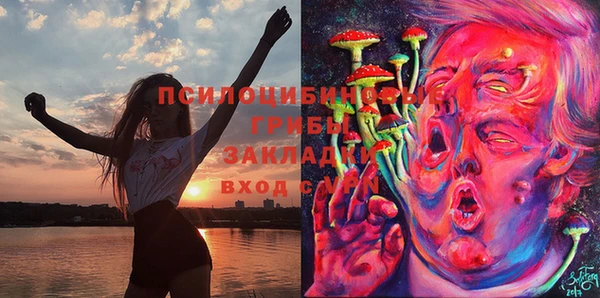 Альфа ПВП Алексеевка
